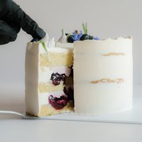 Blue Forest Cake Blue Forest Cake