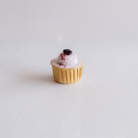 GF Blueberry Fields Cupcakes 