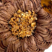 Low Carbs Choc Hazelnut Cake 