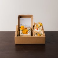 D'Nest Gift Set