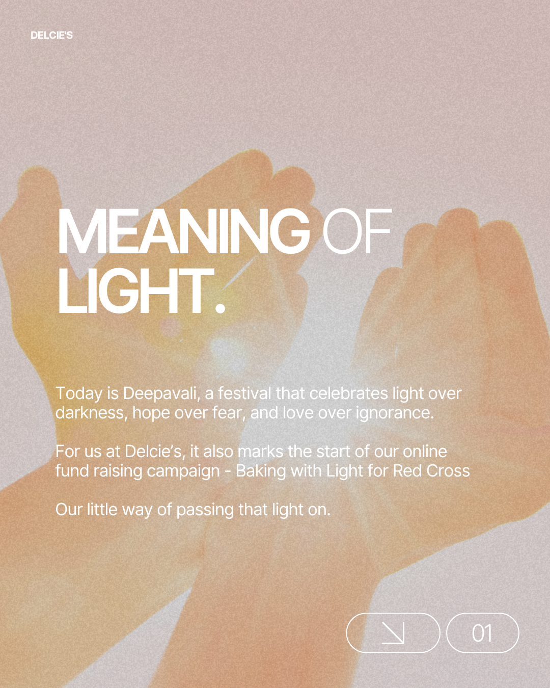 Baking with Light - Red Cross Young Lion